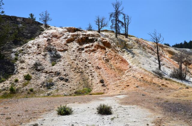 Devil's Thumb (Mammoth Hot Springs) (1)