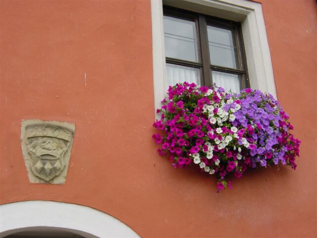 hotel-window-box