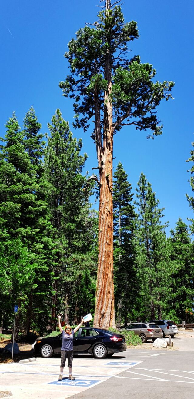 Sugar Pine Point walk 02