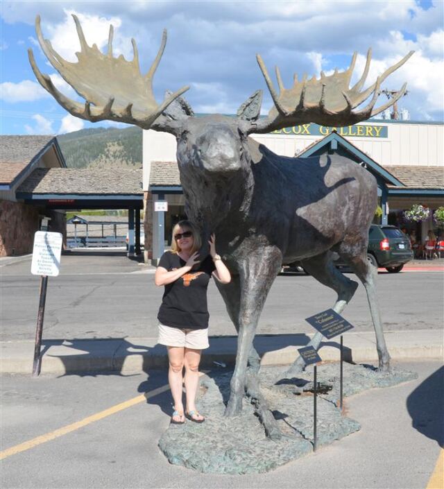 Kathy finds another moose