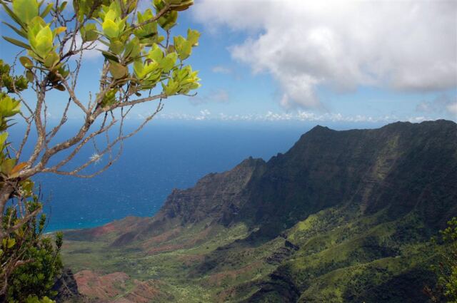 Kalalau Valley (19)