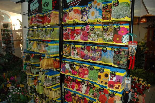 Flower seeds