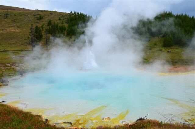 Imperial Geyser (5)