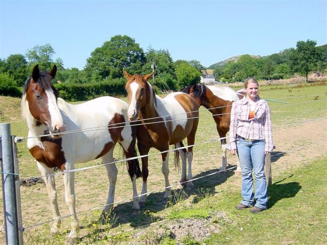 Horses!