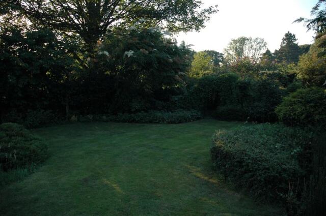 Woodland Cottage - back garden (1)