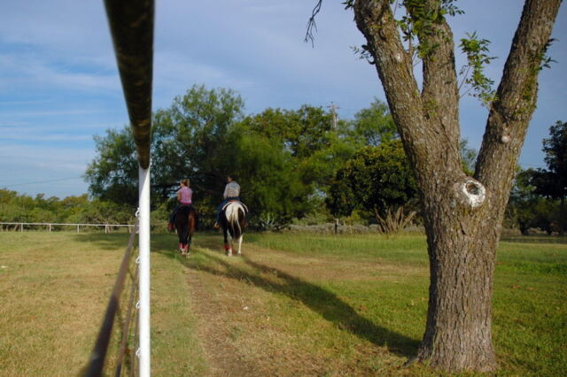 riding-along-the-fence