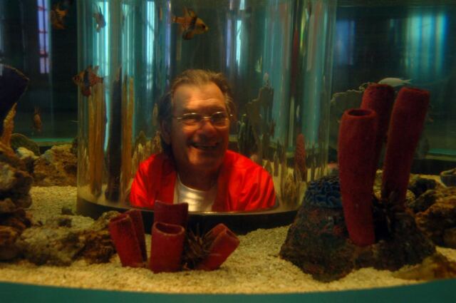 Dad in a kids' display