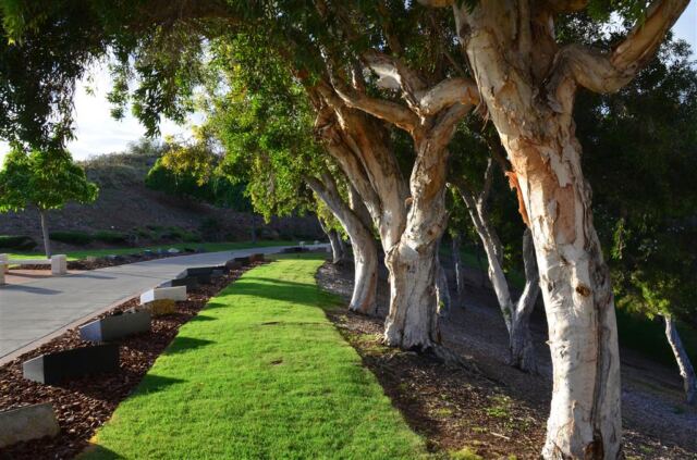 punchbowl-national-cemetery-3-