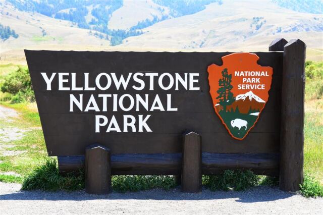 YNP sign