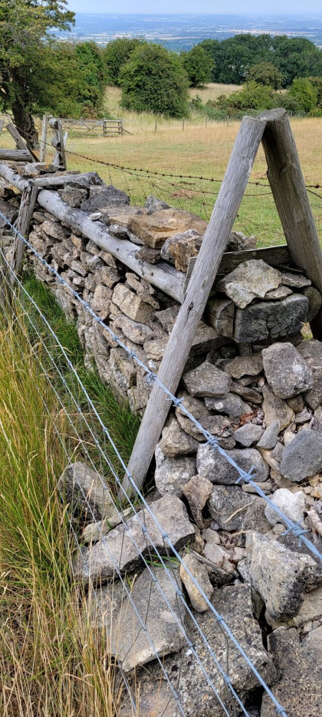 Dry stack stone wall repair (1)