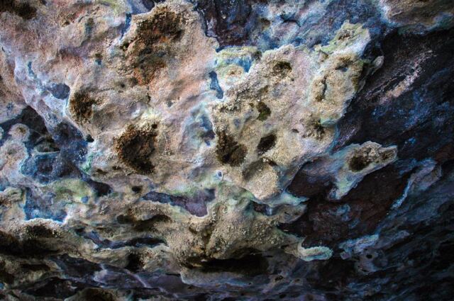 Dry Cave ceiling details