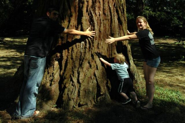 Large trunk!
