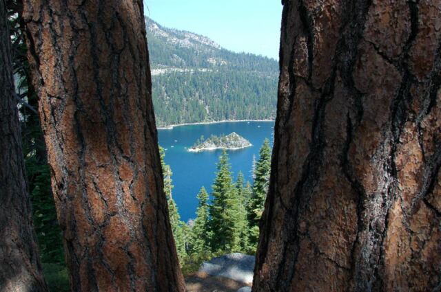Fannette Island through the trees