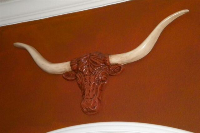 Bevo in his new location