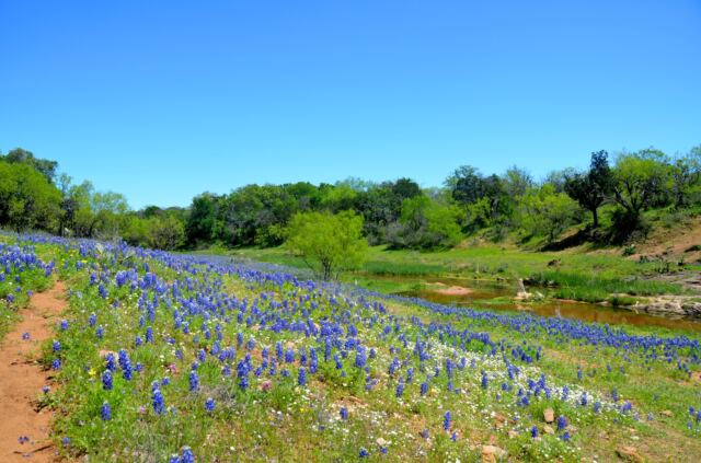 Willow Loop valley 17