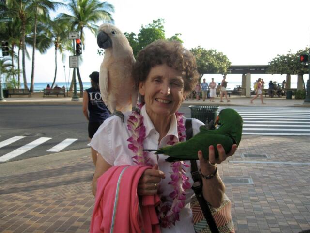 PO - Geri and parrots