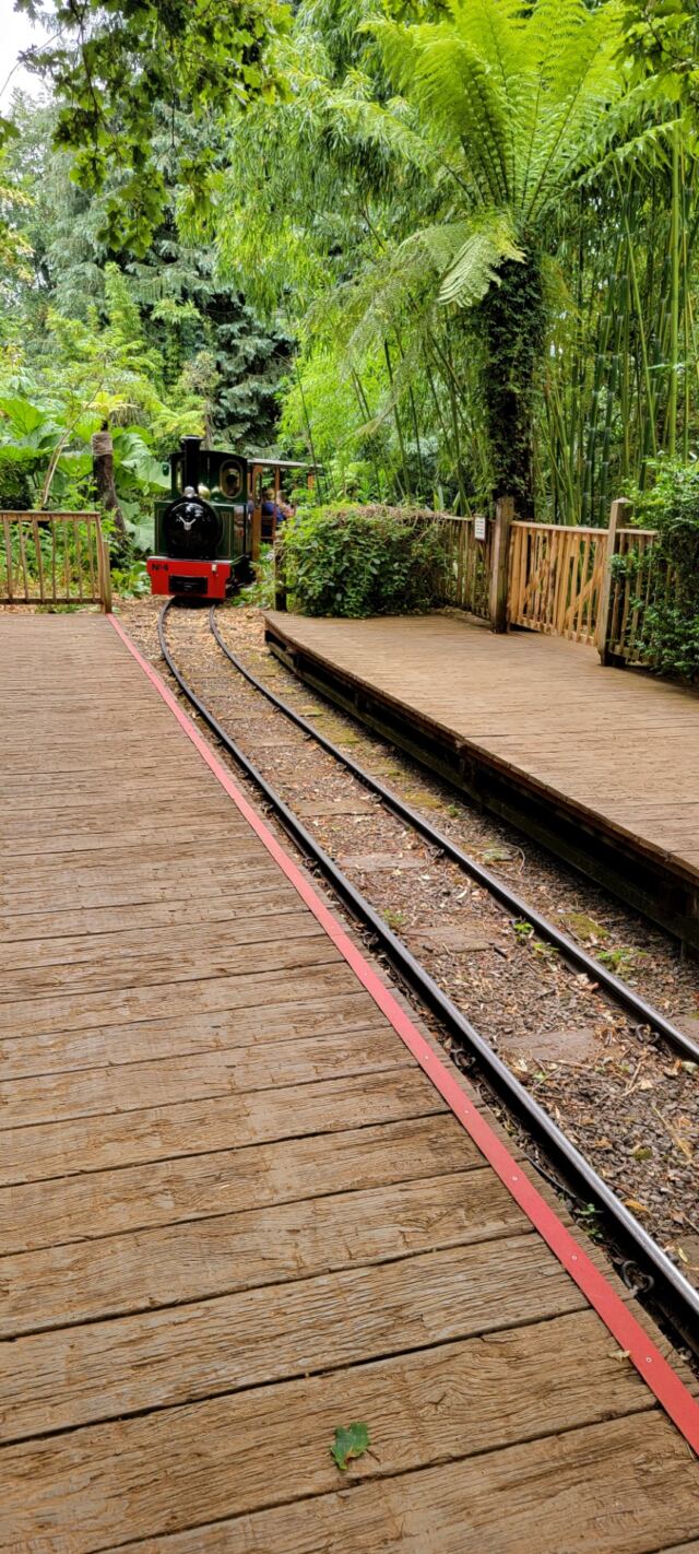 Cotswold Wildlife Park - train ride (2)