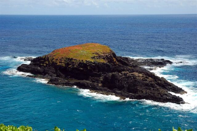 Sanctuary island (1)