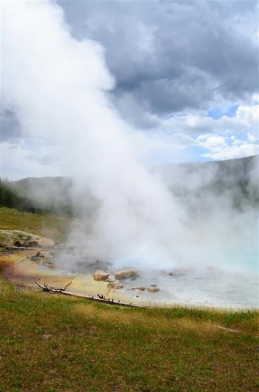 Imperial Geyser (3)