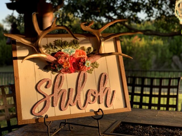 Shiloh sign 1