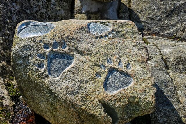 Troll footprints