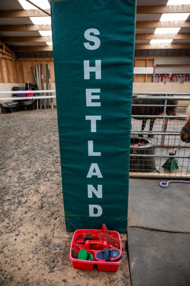 The Shetland Pony Experience 49