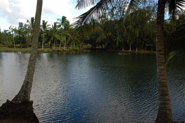 Calm lagoon