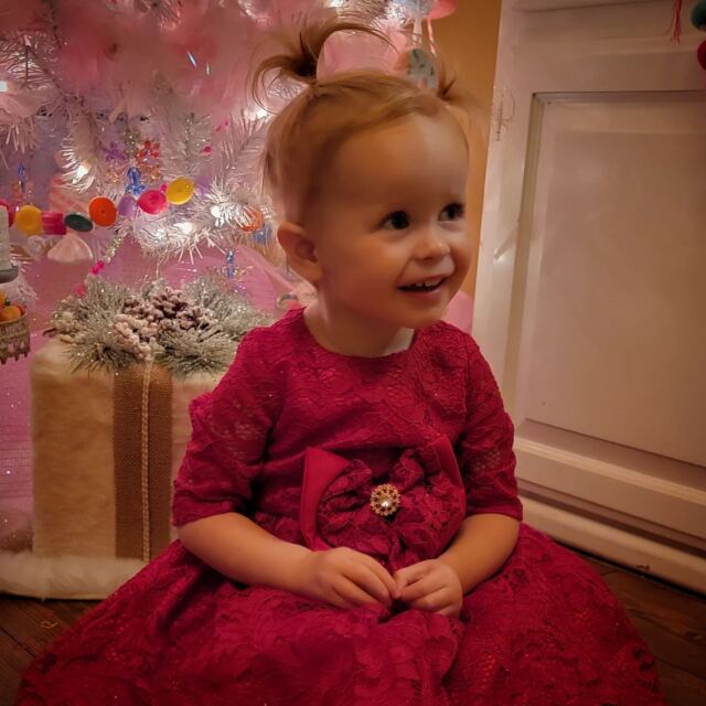 Shiloh and the CandyLand tree