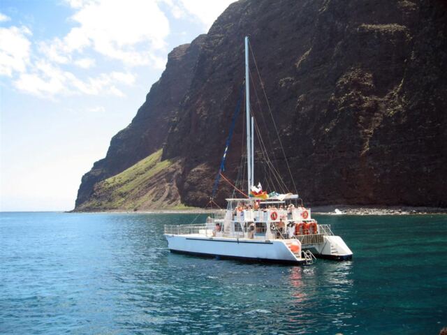 PO - Blue Dolphin sister catamaran