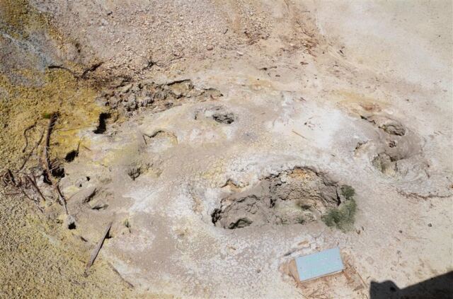 Grizzly Fumarole