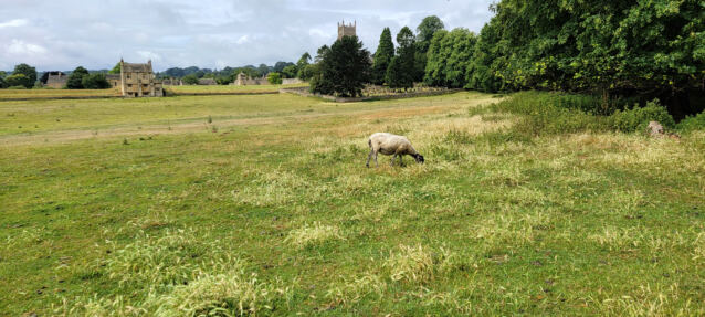 Chipping Campden - East Banqueting House (08)