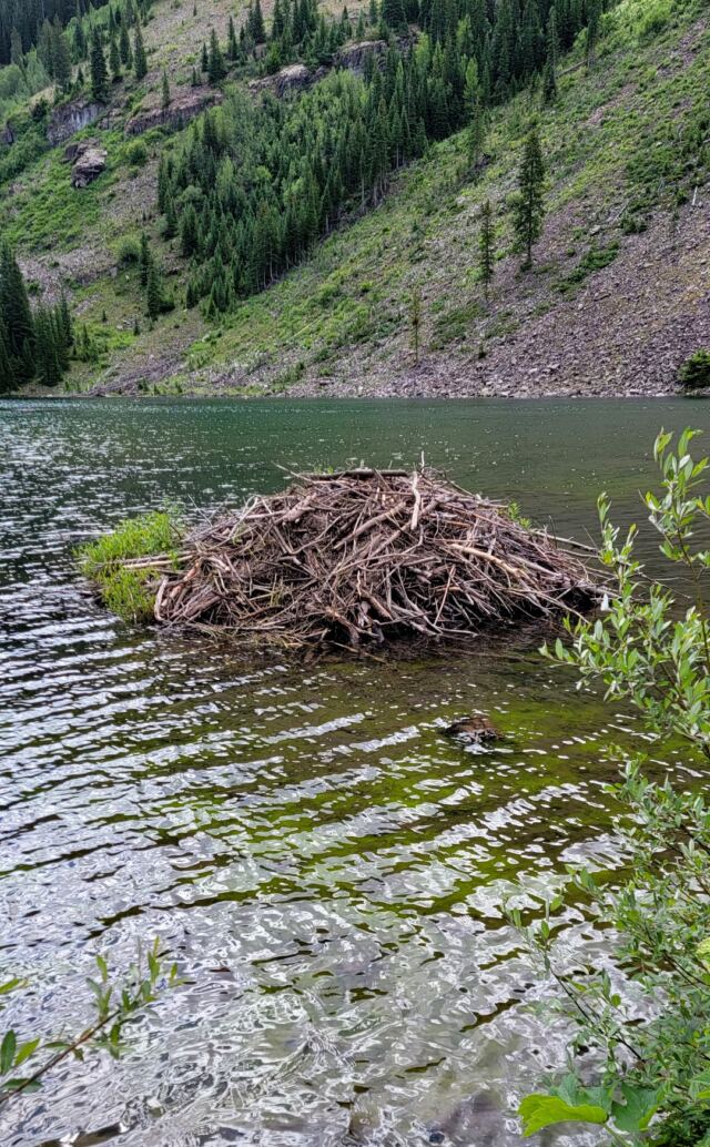 Maroon Lake Beaver Lodge 1