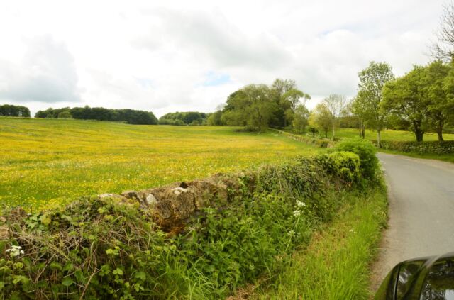 Cotswolds fields