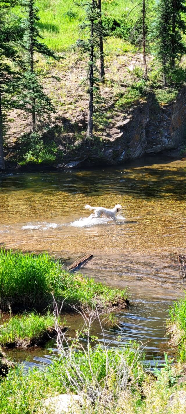 The joy of splashing