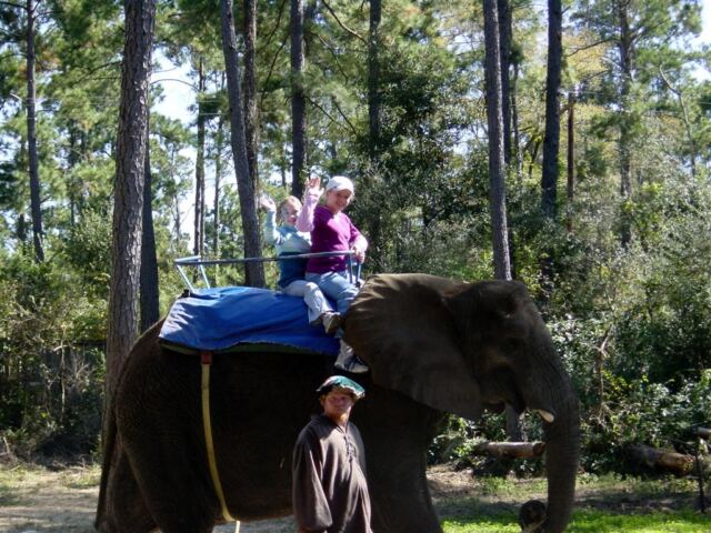 mel-and-lauren-on-elephant