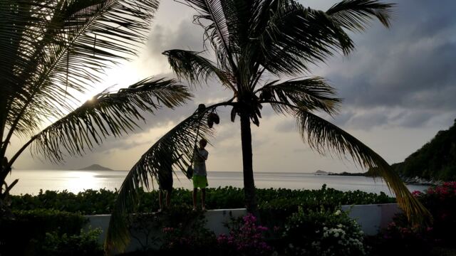 Coconut hunt