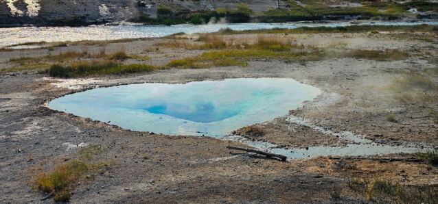 Heart Spring (2)