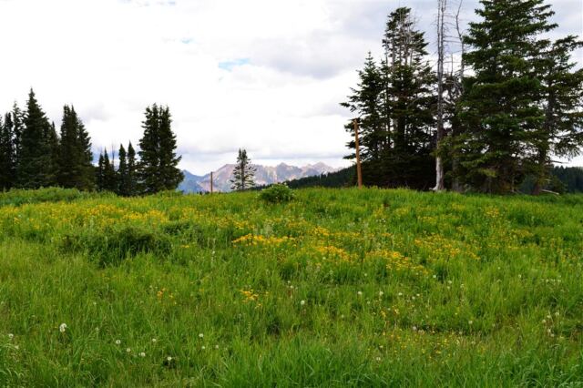 Ptarmigan Loop views (1)