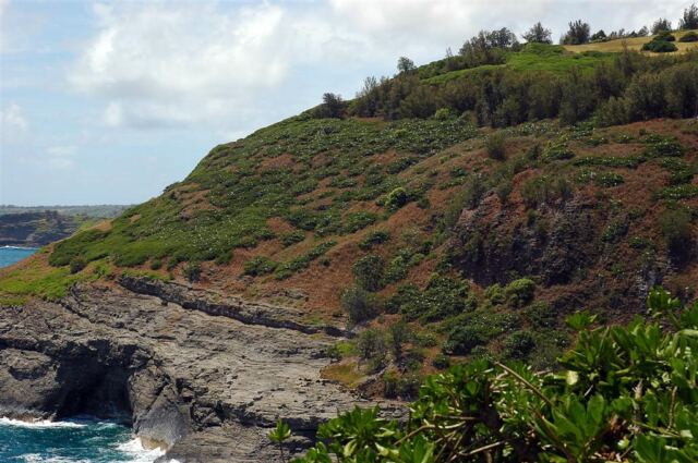 Kilauea Lighthouse inlet (12)
