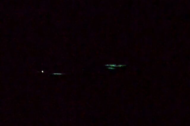 Night snorkeling 3