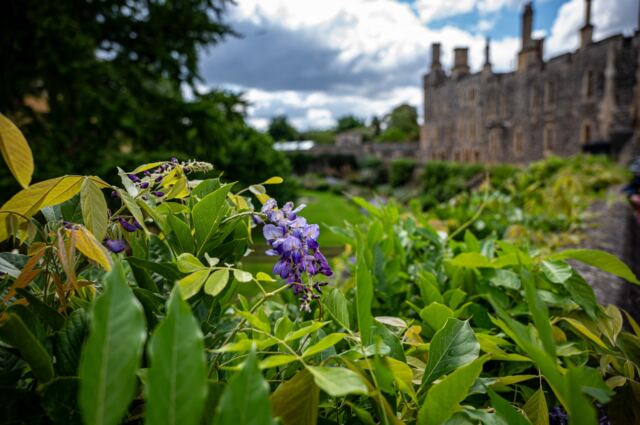 Windsor Castle 17