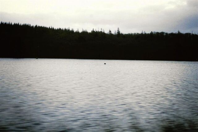Nessie or a rock?  You decide.