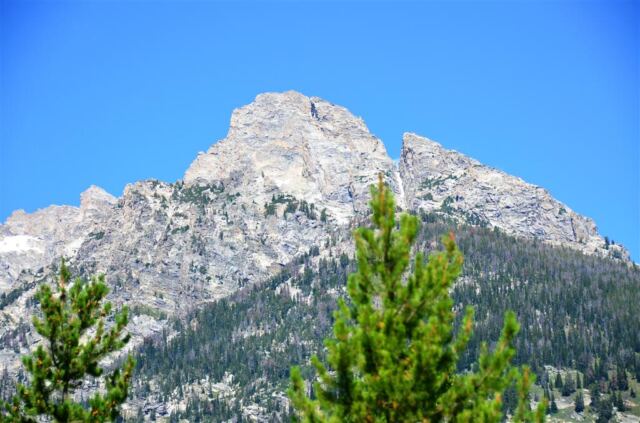 Some Teton closeups (3)