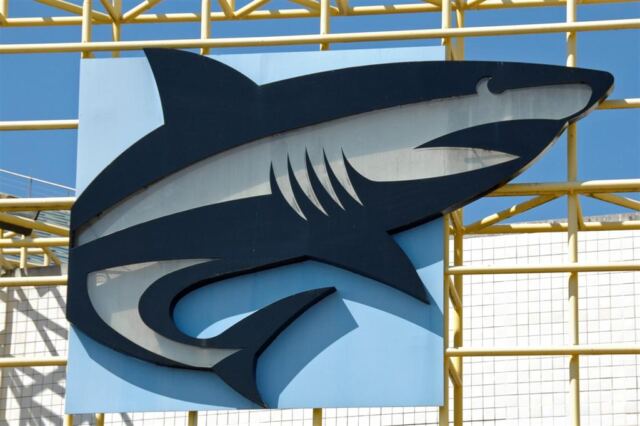 Shark logo