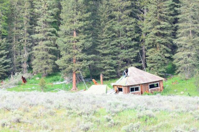 Earthquake Lake 'Ghost Cabins' (7)