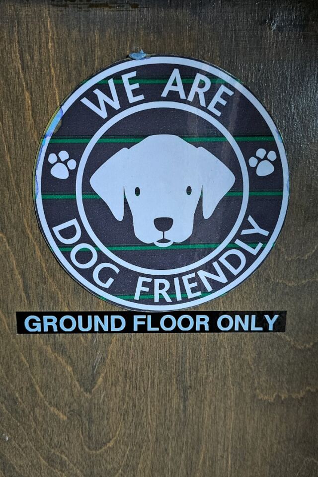 Dog friendly