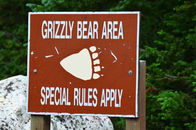 Yeah, like - RUN IT'S A GRIZZLY!!!