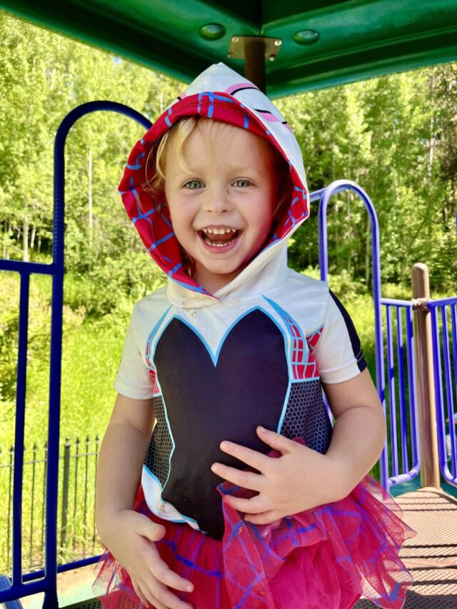 Playground Shiloh 3