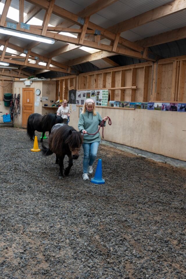 The Shetland Pony Experience 57