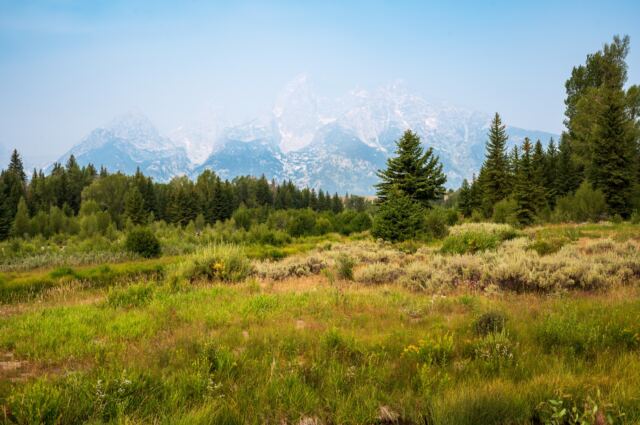 Schwabacher Landing (08)